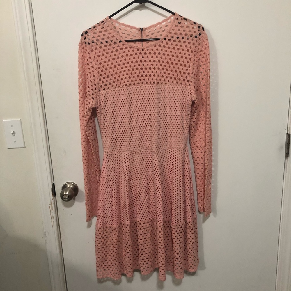 BCBGMaxAzria Blush Pink Long Sleeve Eyelet Dress